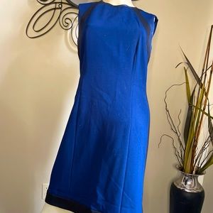 Tahari Size 6 True to Size Dress